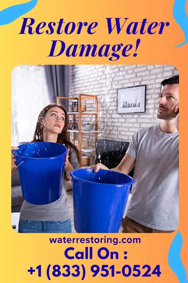 water restoration Sewage Cleanup Co Estill