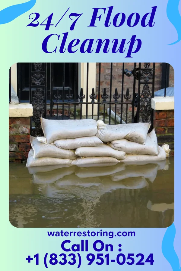 24/7 Flood Cleanup in Estill, SC
