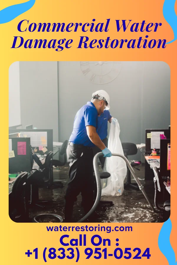 Commercial Water Damage Restoration in Estill, SC