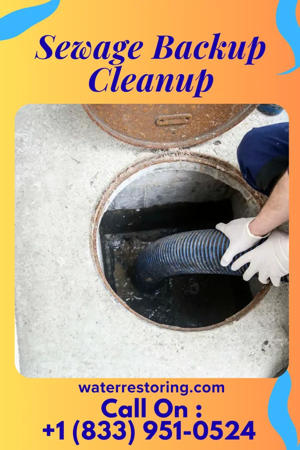 Sewage Backup Cleanup in Estill, SC